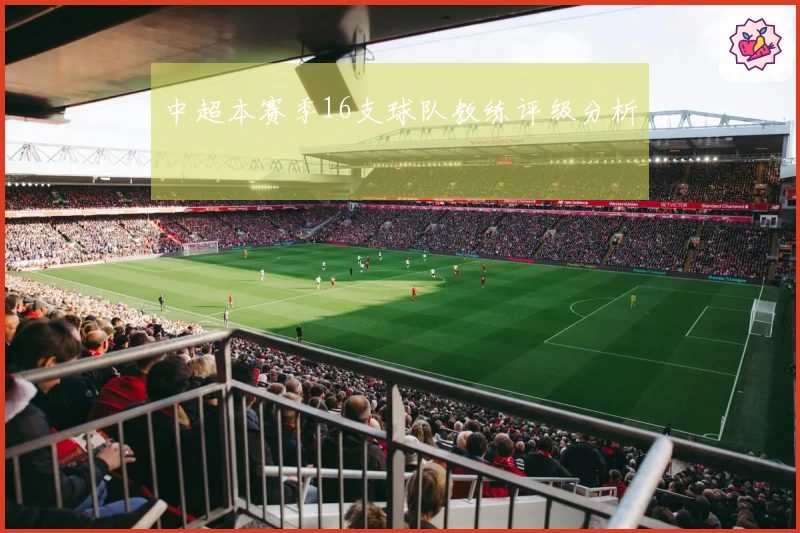 中超本赛季16支球队教练评级分析