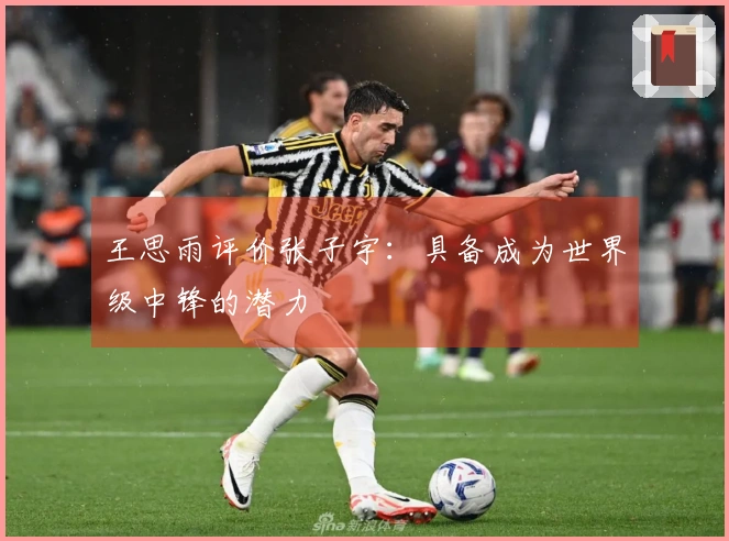 王思雨评价张子宇:具备成为世界级中锋的潜力